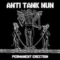 Permanent Erection -19/05/2017-