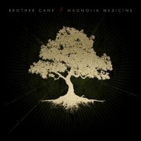 Magnolia Medicine -17/04/2026- 