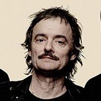 Raldo Useless - Guitare -