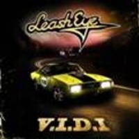 V.I.D.I -2011-