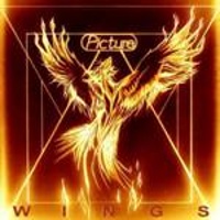 Wings -16/08/2019-