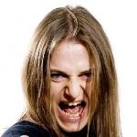 NIKLAS "VIPER" STALVIND </h3><p>Chant,Guitare-